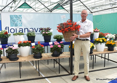 Ook Floranova presenteerde haar variëteiten op de locatie van Syngenta. Op de foto Gerard Werink met Bossa Nova Night Fever, een begonia met donker, bijna zwart, blad en een felrode bloem.